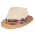Stripe Trim Fedora